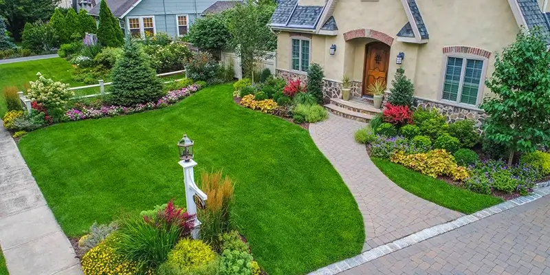 Front and Backyard Lawn - Greenest