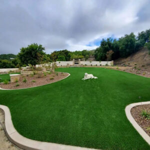 Commercial Synthetic Turf4 - Greenest