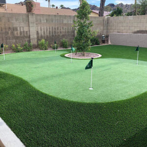 Custom Putting Greens - Greenest