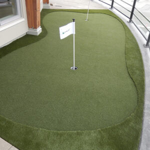 Custom Putting Greens6- Greenest