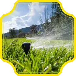 Irrigation