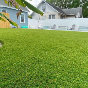 Pet-Friendly Artificial Turf - Greenest