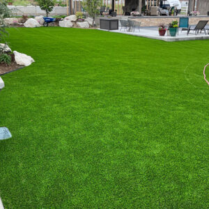 Pet-Friendly Artificial Turf6 - Greenest