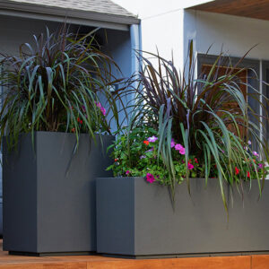 Planter Installation Las Vegas - Greenest