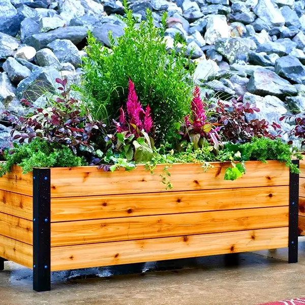 Planters Installation Matters - Greenest