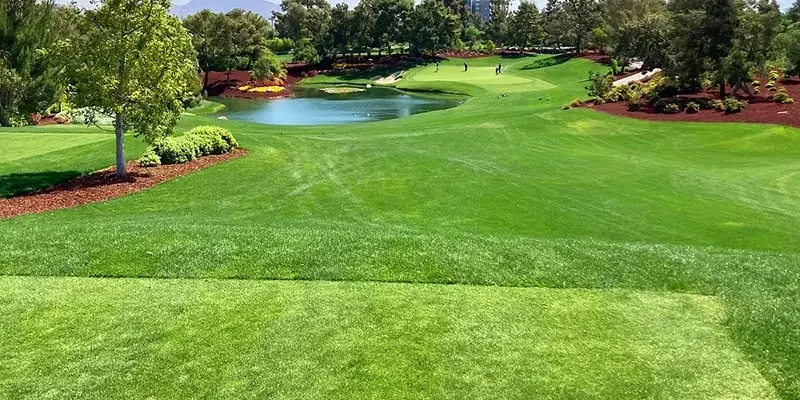 Fire Resistant Golf Turf Las Vegas - Greenest